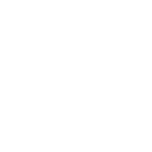 Ícone 2 pulmões de segurança